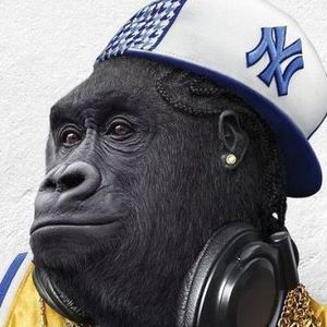 Meet your Posher, Thomas